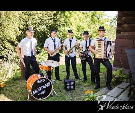Zespół Mustang | Zespół muzyczny Pilzno, podkarpackie - zdjęcie 1