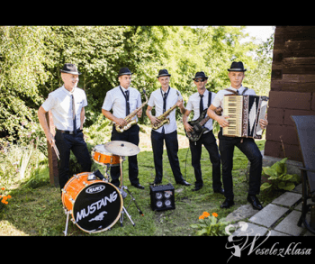 Zespół Mustang | Zespół muzyczny Pilzno, podkarpackie