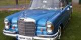 Zabytkowy Mercedes 1965 | Auto do ślubu Blizne Jasinskiego, mazowieckie - zdjęcie 5