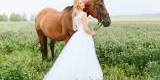 Bryczką do ślubu / wynajem koni do  sesji ślubnej | Bryczka do ślubu Rzeszów, podkarpackie - zdjęcie 5