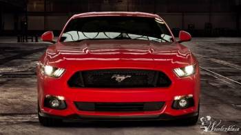Wynajem auta do ślubu - Czerwony Mustang 2016 na Ś | Auto do ślubu Brwinów, mazowieckie
