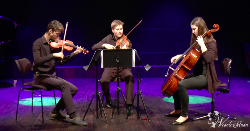 Trio smyczkowe Vivace, Wadowice - zdjęcie 1