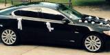 Czarny Jaguar XF - premium luxury | Auto do ślubu Białystok, podlaskie - zdjęcie 5