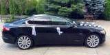 Czarny Jaguar XF - premium luxury | Auto do ślubu Białystok, podlaskie - zdjęcie 2