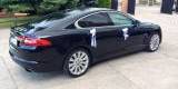 Czarny Jaguar XF - premium luxury | Auto do ślubu Białystok, podlaskie - zdjęcie 3