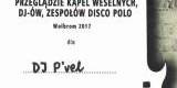 Dj P`vel- Oprawa Wesela i wyprowadzenie młodej pary z akordeonem!!! | DJ na wesele Zawiercie, śląskie - zdjęcie 5