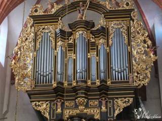 organy, skrzypce - Ave Maria, Marsz weselny i inne | Oprawa muzyczna ślubu Radom, mazowieckie