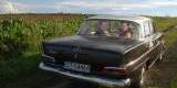 Mercedes retro z lat 60', Pszczyna - zdjęcie 5