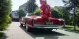 Cadillac Eldorado Cabrio na ślub!, Szczecin - zdjęcie 4