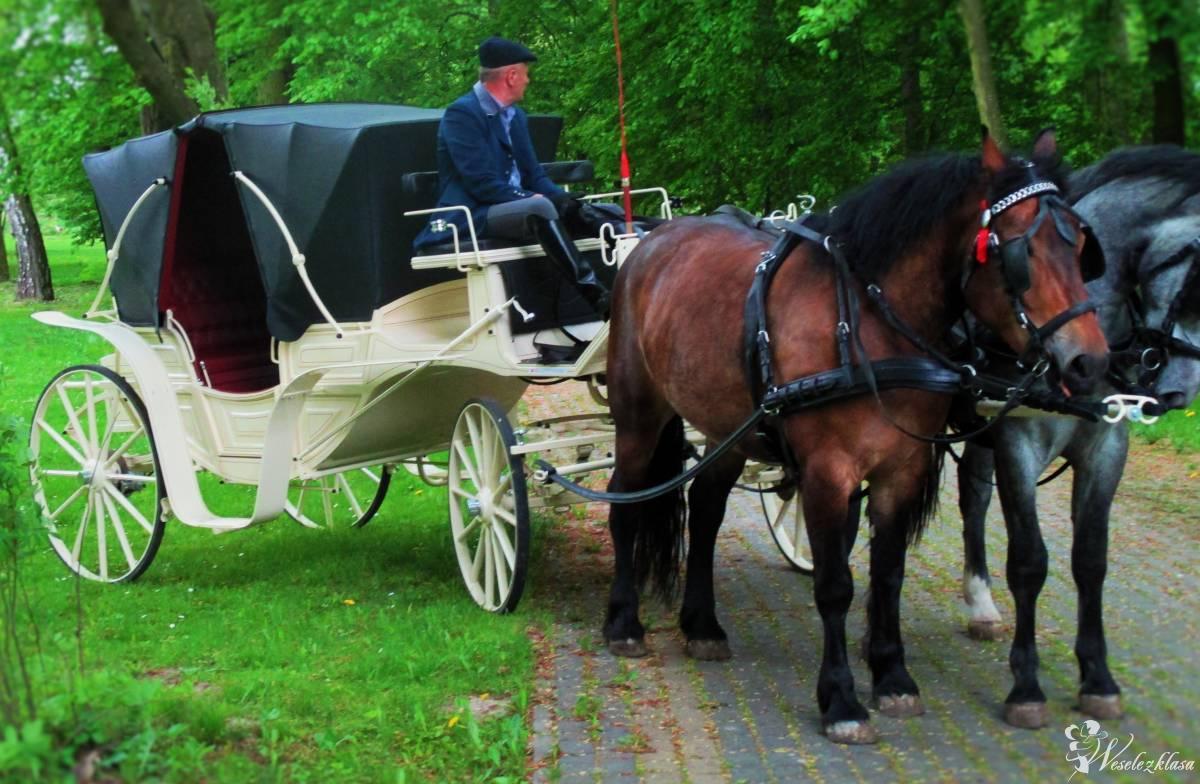 Bryczka, powóz konny do ślubu, Piaski - zdjęcie 1