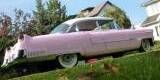 Cadillac 1955.Jedyna kopia w Polsce legendarnego auta Elvisa Presleya | Auto do ślubu Ryn, warmińsko-mazurskie - zdjęcie 5