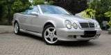 Mercedes | Volkswagen | Audi | auto do ślubu | samochód na wesele, Pruszków - zdjęcie 4