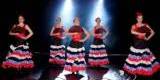 Profesjonalne pokazy taneczne,rewia taneczna | Pokaz tańca na weselu Jelenia Góra, dolnośląskie - zdjęcie 2