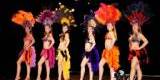 Profesjonalne pokazy taneczne,rewia taneczna | Pokaz tańca na weselu Jelenia Góra, dolnośląskie - zdjęcie 3