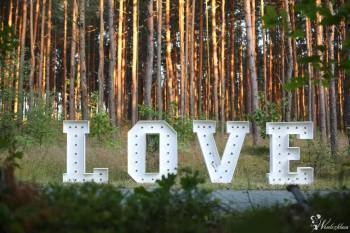 Napis LOVE  na wesele wynajem - duże litery 3D świecące!, Napis Love Piekary Śląskie