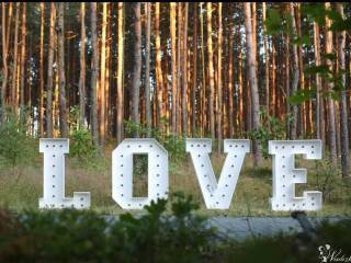 Napis LOVE  na wesele wynajem - duże litery 3D świecące!,  Częstochowa