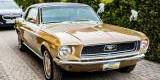 Mustangiem do ślubu ! Prowadź sam ! Ford Mustang 1968, Nowy Sącz - zdjęcie 4