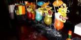 BarMania - DrinkBar - Barman na wesele - Mobilne bary Barmani, Radom - zdjęcie 4