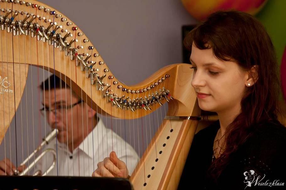 Joanna Kamińska - harfa, Warszawa - zdjęcie 1