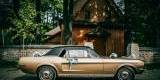 Mustangiem do ślubu ! Prowadź sam ! Ford Mustang 1968, Nowy Sącz - zdjęcie 2