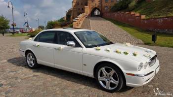 Jedyny taki Jaguar XJ8 do ślubu!, Samochód, auto do ślubu, limuzyna Radzyń Chełmiński
