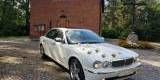 Jedyny taki Jaguar XJ8 do ślubu! | Auto do ślubu Grudziądz, kujawsko-pomorskie - zdjęcie 2