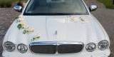 Jedyny taki Jaguar XJ8 do ślubu! | Auto do ślubu Grudziądz, kujawsko-pomorskie - zdjęcie 5
