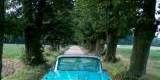 Samochód do ślubu Ford Edsel 1959 6 osobowy Auto do ślubu, Wyszków - zdjęcie 2