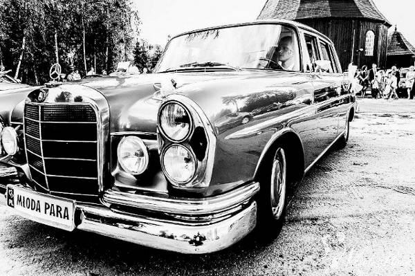Zabytkowy Mercedes Skrzydlak do ślubu z 1964r | Auto do ślubu Turek, wielkopolskie - zdjęcie 1