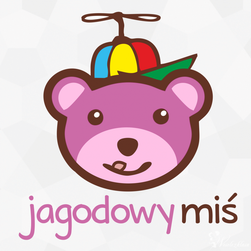 Jagodowy Miś- profesjonalne animacje dla dzieci | Animator dla dzieci Tomaszów Mazowiecki, łódzkie - zdjęcie 1