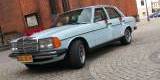 Mercedes W123 1978 r.  Błękitny, bogata historia!Jedyny taki w Polsce! | Auto do ślubu Chojnów, dolnośląskie - zdjęcie 4