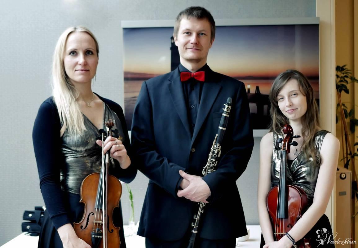 Trio Wave - oprawa muzyczna ślubów i uroczystości., Gdynia - zdjęcie 1