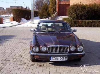 Auto do ślubu  - Jaguar XJ6, Samochód, auto do ślubu, limuzyna Lublin