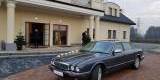 JAGUAREM do ślubu wyjątkowy grafitowy JAGUAR Xj od firmy FotoZiombek, Oświęcim - zdjęcie 2