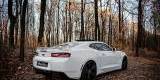 Chevrolet Camaro 2SS 2017r, Katowice - zdjęcie 2