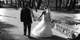 Wideofilmowanie i fotografia ślubna Joanna Musiał, Tarnowskie Góry - zdjęcie 2