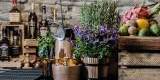 Wedding Bar! Barmani na Twoje przyjęcie weselne., Kraków - zdjęcie 8