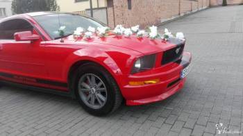 Ford Mustang Samochód do Ślubu auto na wesele Wynajem, Samochód, auto do ślubu, limuzyna Lędziny