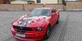 Ford Mustang Samochód do Ślubu auto na wesele Wynajem, Czechowice-Dziedzice - zdjęcie 3