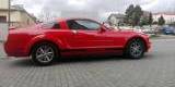 Ford Mustang Samochód do Ślubu auto na wesele Wynajem, Czechowice-Dziedzice - zdjęcie 4