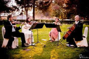Kwartet smyczkowy Con Forza - kameralna oprawa muzyczna uroczystości, Oprawa muzyczna ślubu Konstancin-Jeziorna