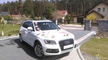 Białe Audi Q5 2017 | Auto do ślubu Piotrków Trybunalski, łódzkie