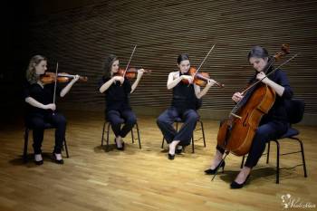 Kwartet smyczkowy, skrzypce, wiolonczela, oprawa muzyczna ślubu, Oprawa muzyczna ślubu Międzybórz