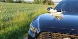 WeddingPony - Czarny Ford Mustang - Jedyny w Polsce | Auto do ślubu Kraków, małopolskie - zdjęcie 3