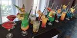 Coctail Bar Paula drink  bar Barmani | Barman na wesele Grudziądz, kujawsko-pomorskie - zdjęcie 5