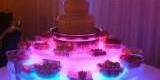 Fontanna czekoladowa z podestami LED | Czekoladowa fontanna Brzeg, opolskie - zdjęcie 5
