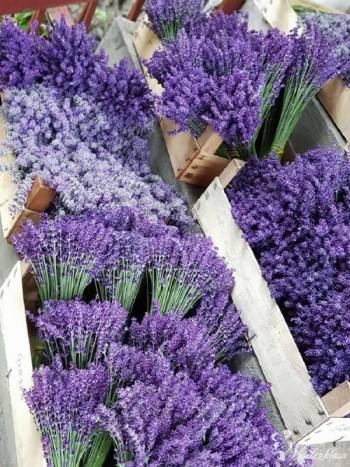 Lavendel Natur Haus | Bukiety ślubne Chełm, lubelskie