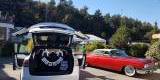 Tesla biala Model X do Slubu, Poznań - zdjęcie 3