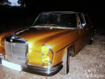 Wyjątkowy Złoty Mercedes - limuzyna do ślubu, Samochód, auto do ślubu, limuzyna Piaseczno