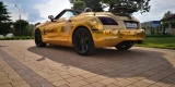 Złoty roadster-Bentley style,jedyny w PL-sam prowadzisz,cały kraj | Auto do ślubu Brzeg, opolskie - zdjęcie 3